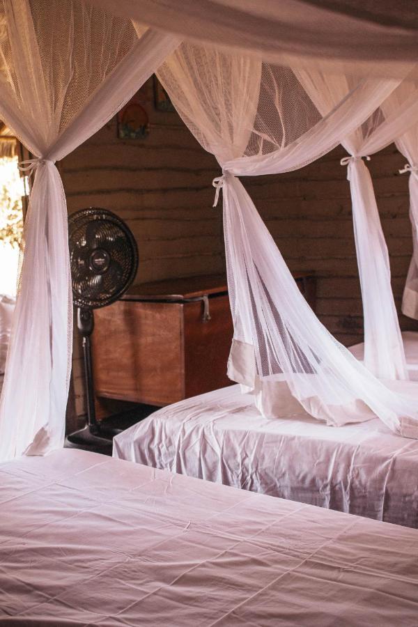 Casa Canju أتينز المظهر الخارجي الصورة