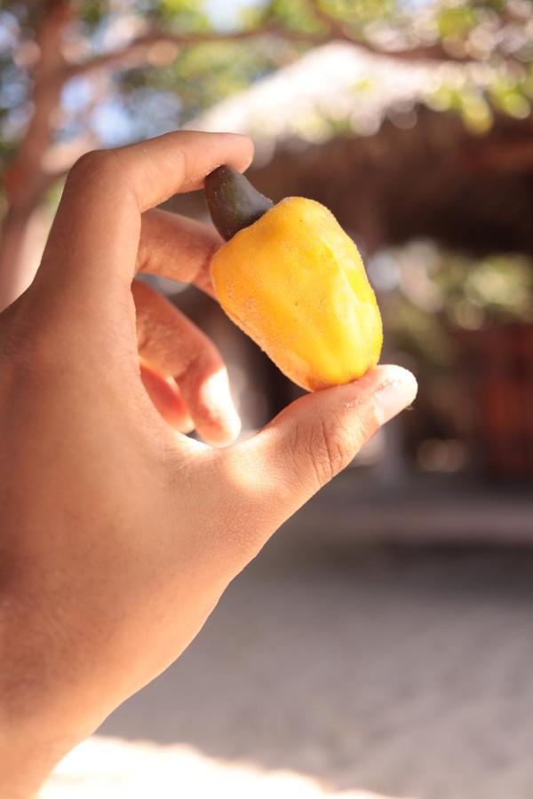 Casa Canju أتينز المظهر الخارجي الصورة